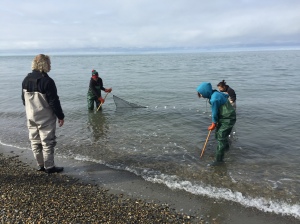 Lead instructor Cliff Strain teaches the students to pull a seine net